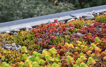 the cost of Hatfield Broad Oak green roof installation